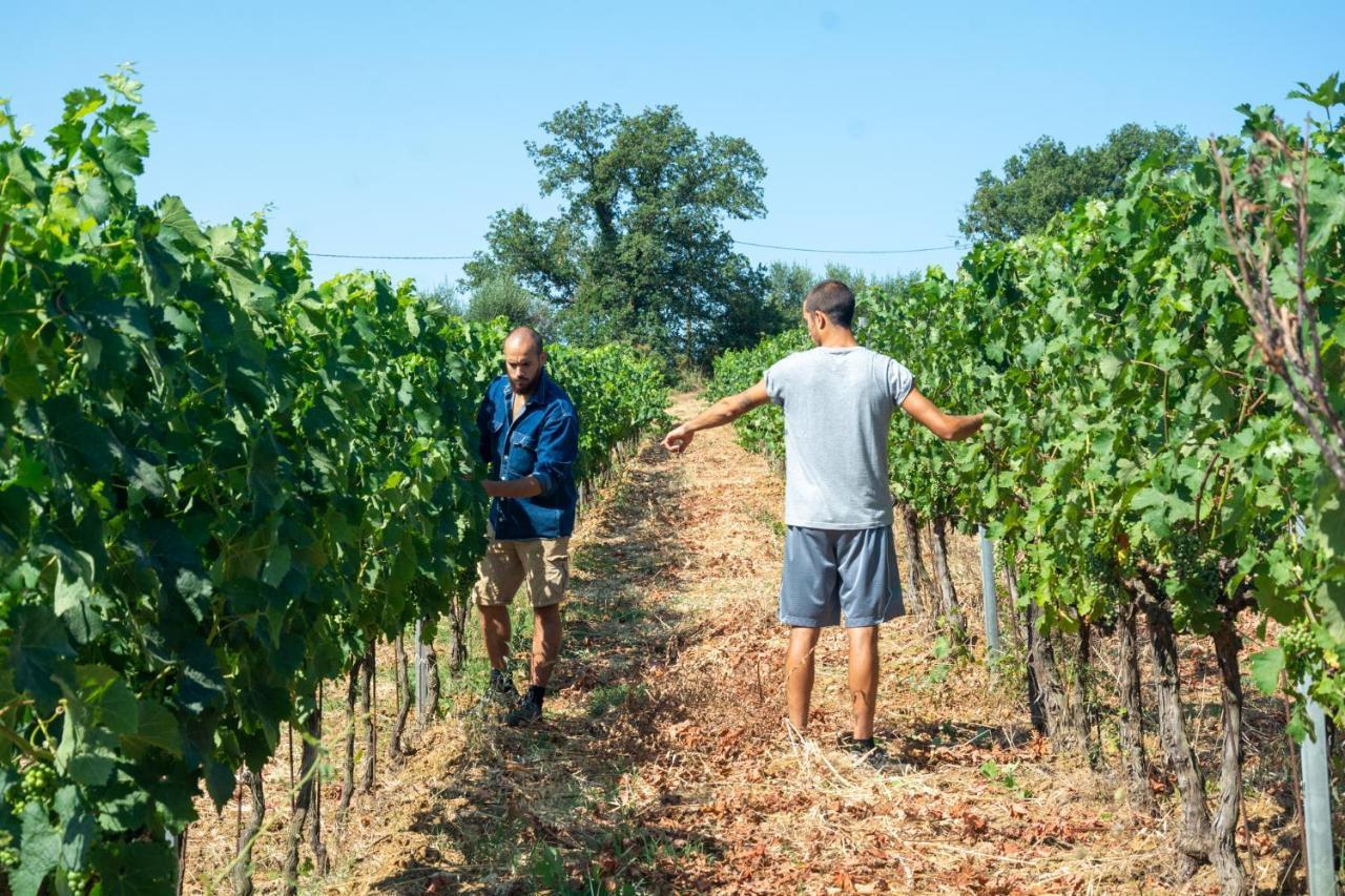 Agriturismo Colle Vento 苏韦雷托 外观 照片