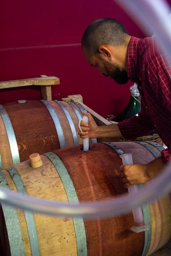 Agriturismo Colle Vento 苏韦雷托 外观 照片