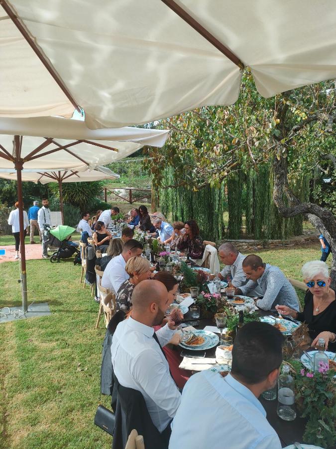 Agriturismo Colle Vento 苏韦雷托 外观 照片