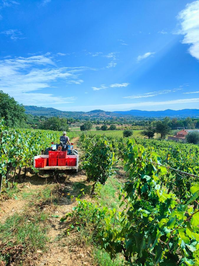 Agriturismo Colle Vento 苏韦雷托 外观 照片