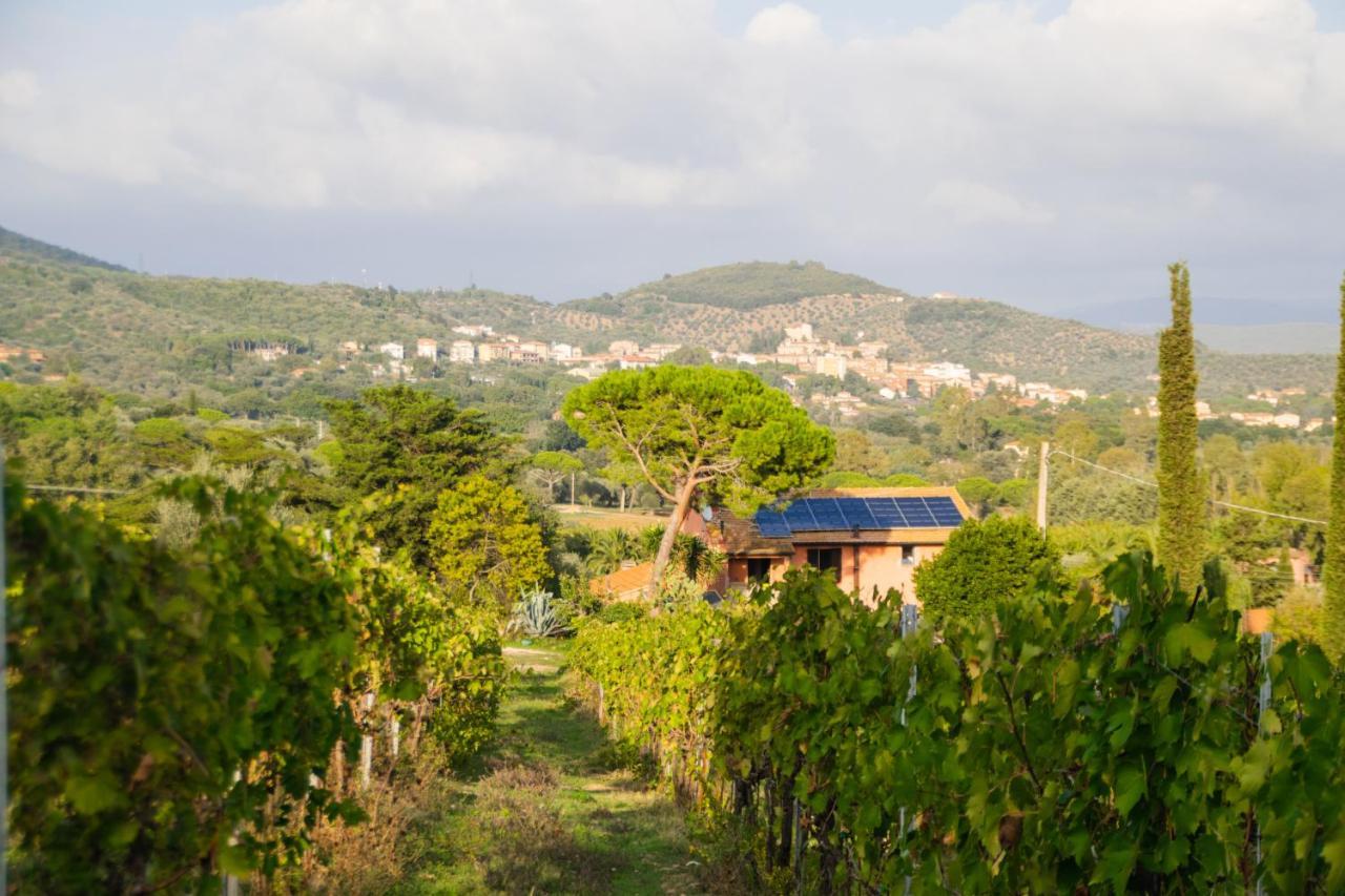 Agriturismo Colle Vento 苏韦雷托 外观 照片